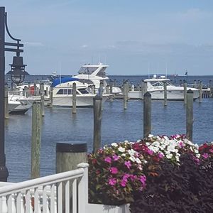 Meet your Posher, Kathleen